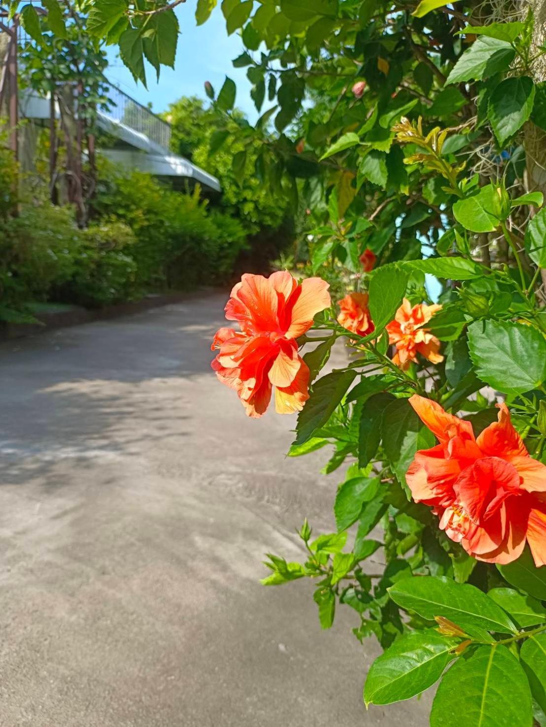 Phannarai House Lamai Beach  Luaran gambar