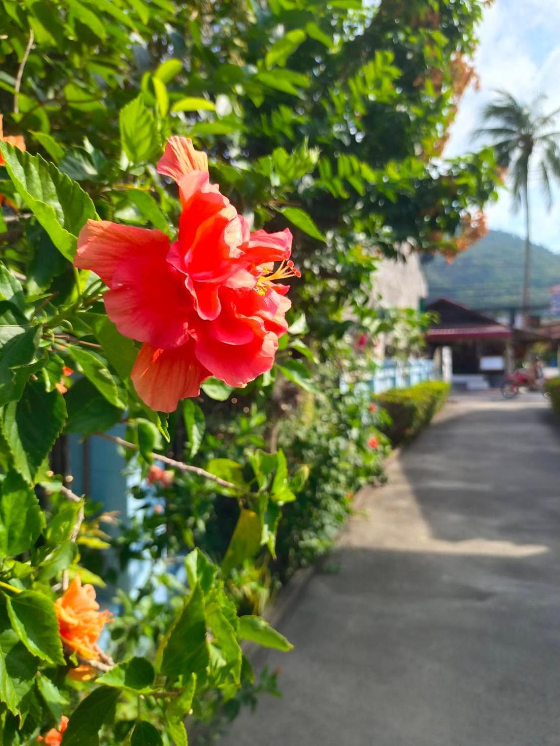 Phannarai House Lamai Beach  Luaran gambar
