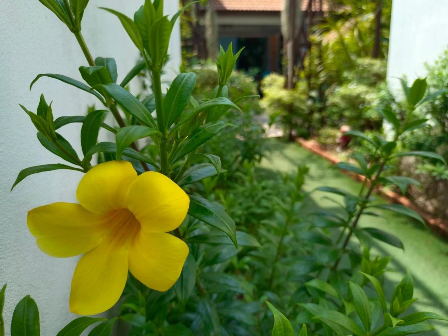 Phannarai House Lamai Beach  Luaran gambar